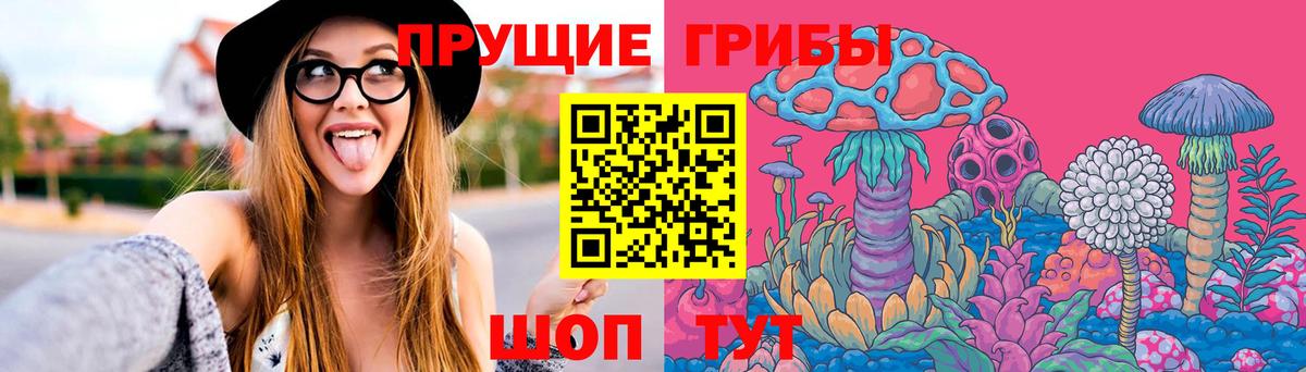 Шадринск  Галлюциногенные грибы Cubensis  Вход с VPN 