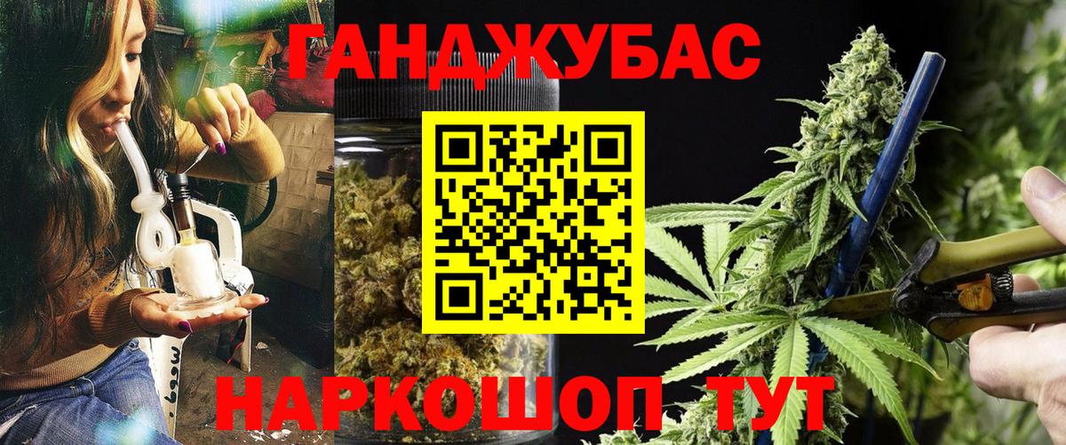 Конопля семена  Каннабис Ganja  Шишки марихуана план  Шадринск  Вход с VPN 